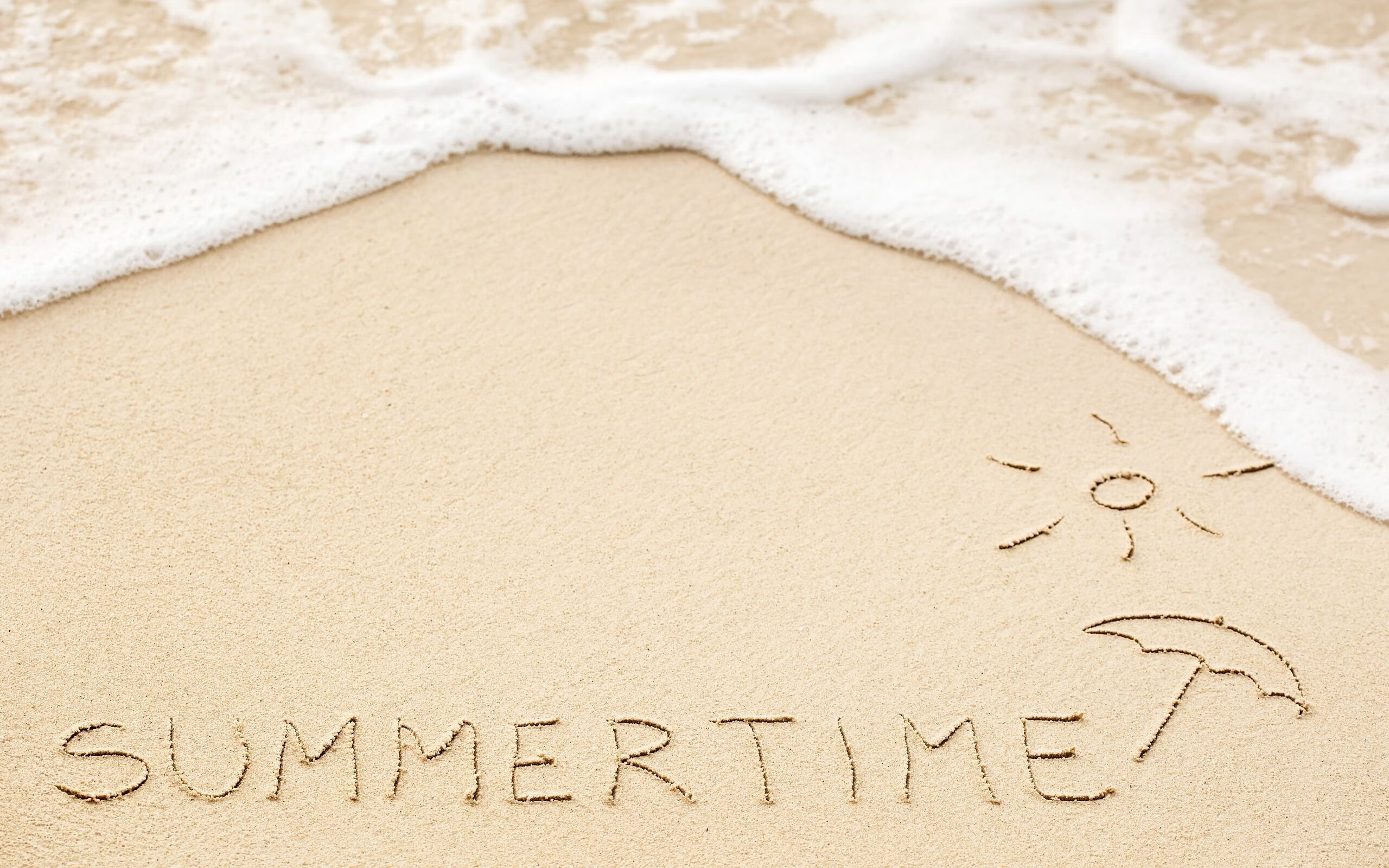 “最佳传球:联盟中最具创造力的助攻高手”,最佳助攻球员