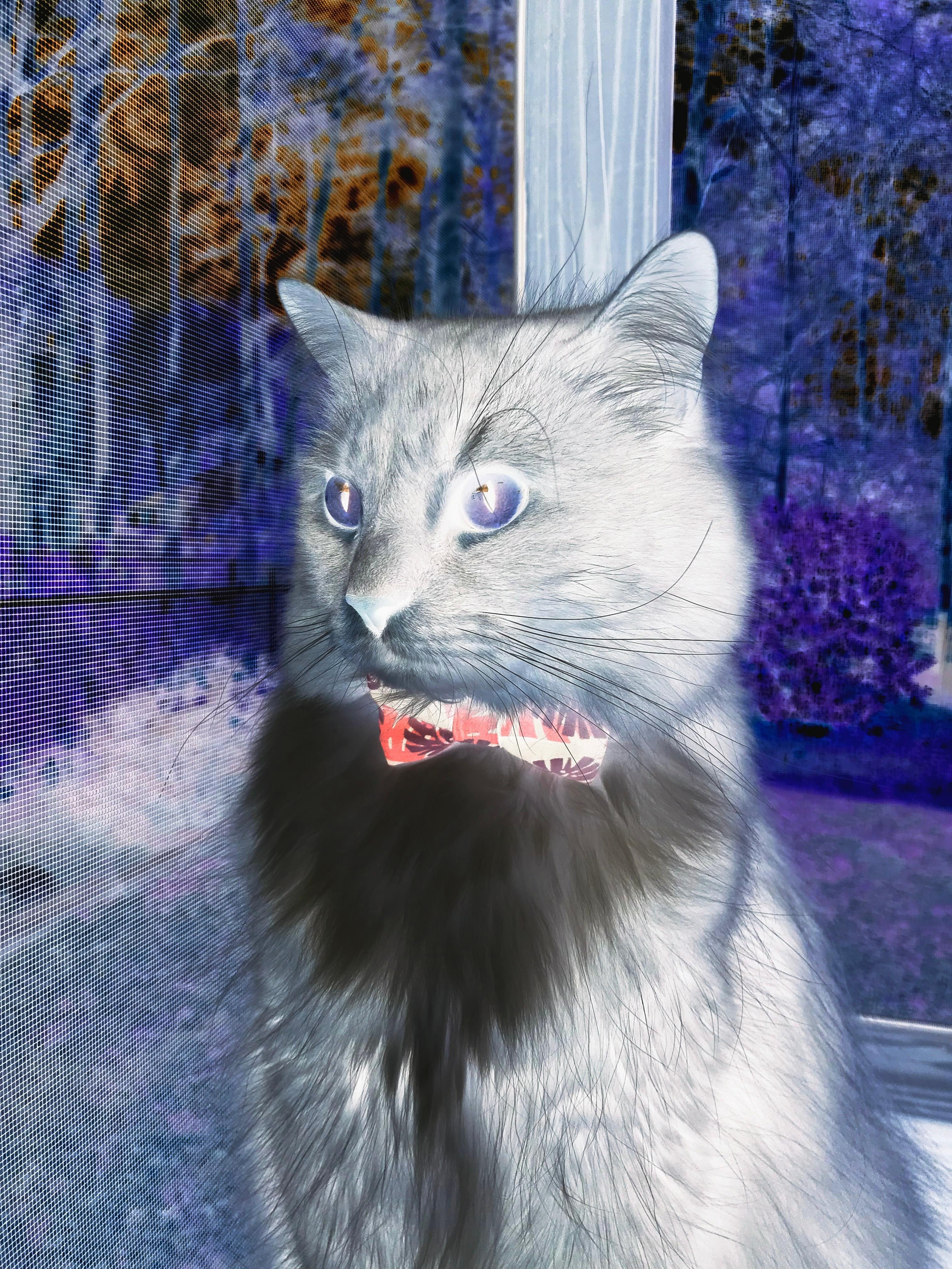 “未来领袖”青少年篮球培训基地在南京全面启动，培养青少年行业骨干