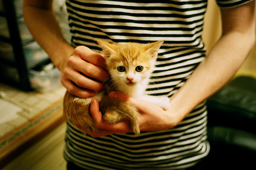 开yun体育-传统民族摔跤比赛，激情对决彰显民族特色，民族式摔跤种类